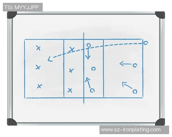 广州排球队的战术解析与技术控制深度剖析